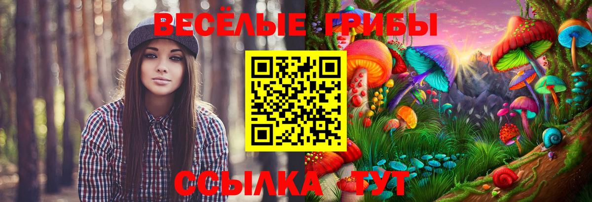 Галлюциногенные грибы мухоморы Сергиев Посад