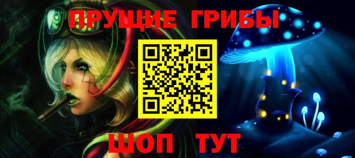 Псилоцибиновые грибы GOLDEN TEACHER  Галлюциногенные грибы мицелий  Вход с VPN  Сергиев Посад 